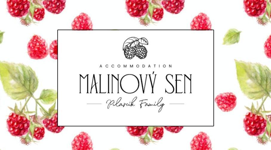 Bed and Breakfast Malinovy Sen Habovka Esterno foto